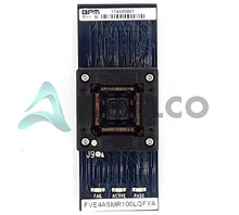 FVE4ASMR100LQFYA Image