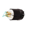 NEMA L21-20 PLUG