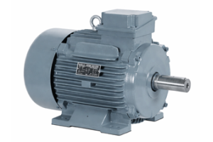 Käfigläufer-Induktionsmotor: Funktionsprinzip, Typen, Vorteile und Anwendungen